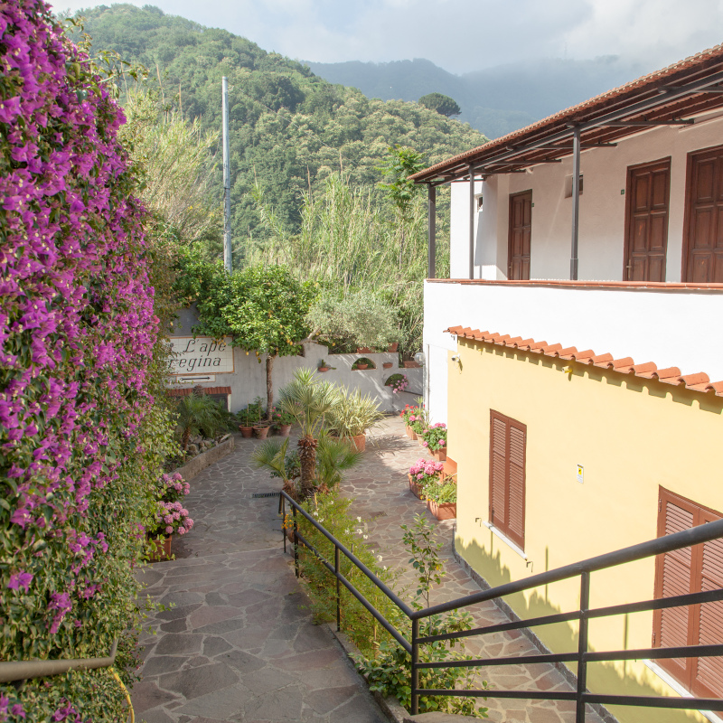 Ingresso hotel