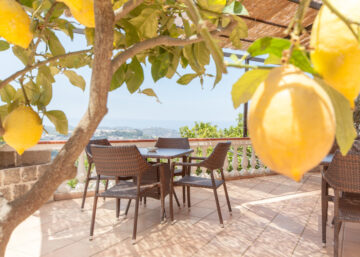 La terrazza dei limoni